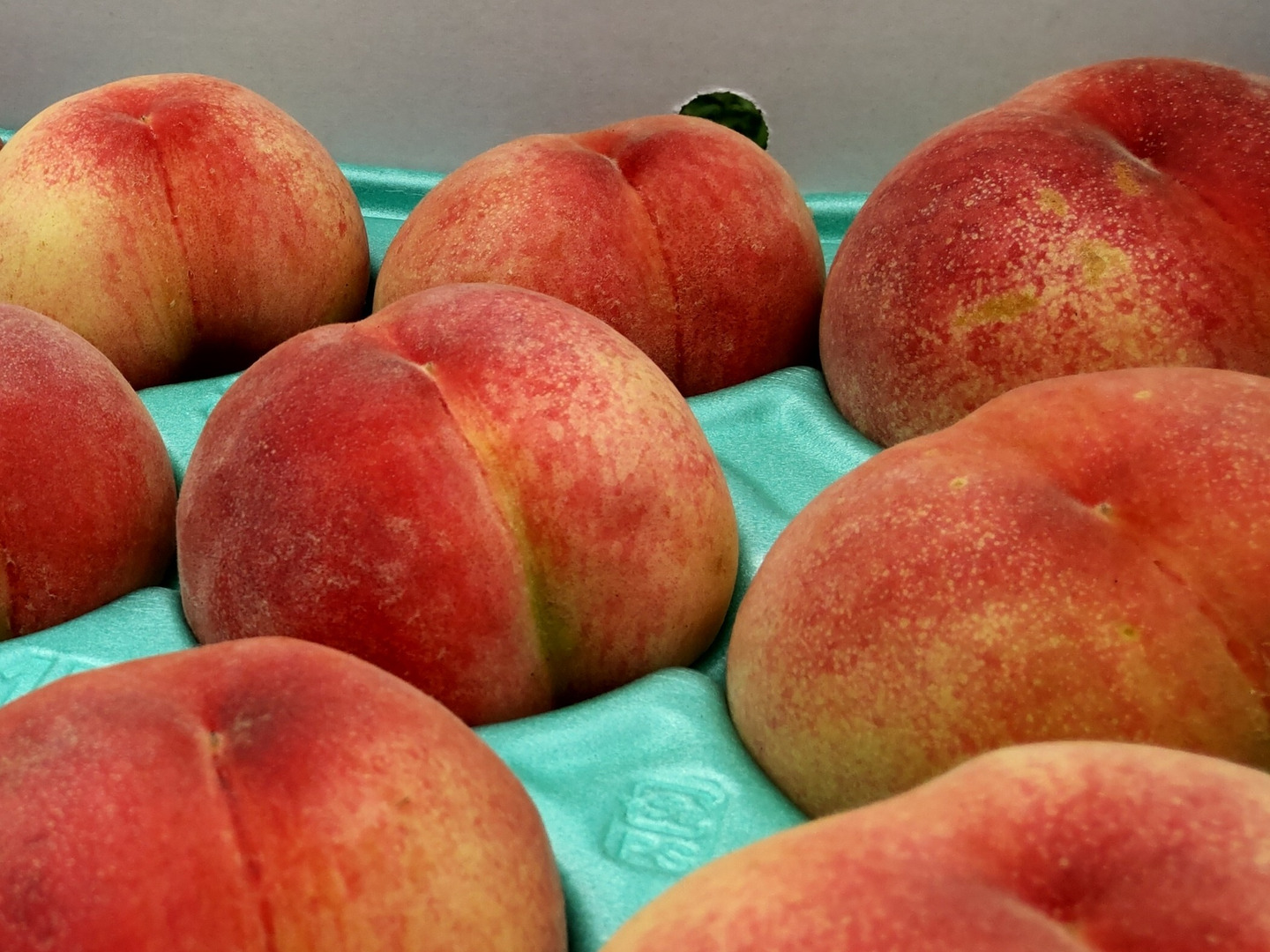 玉うさぎ3kg🍑数量限定🍑希少種&激レア桃🍑朝採り🍑【自宅用】訳