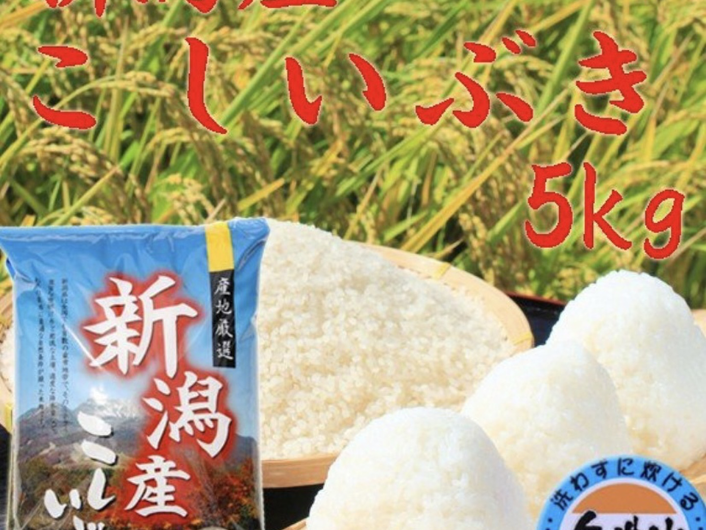 新潟県産 こしいぶき 無洗米 5キロ 令和6年産 お米 (210)：新潟