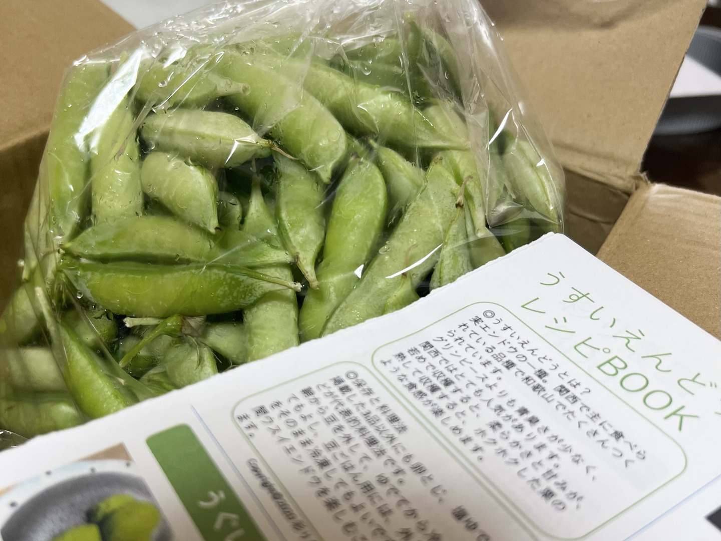 関西の春を告げる味わい うすいえんどう 4kg：和歌山県産の