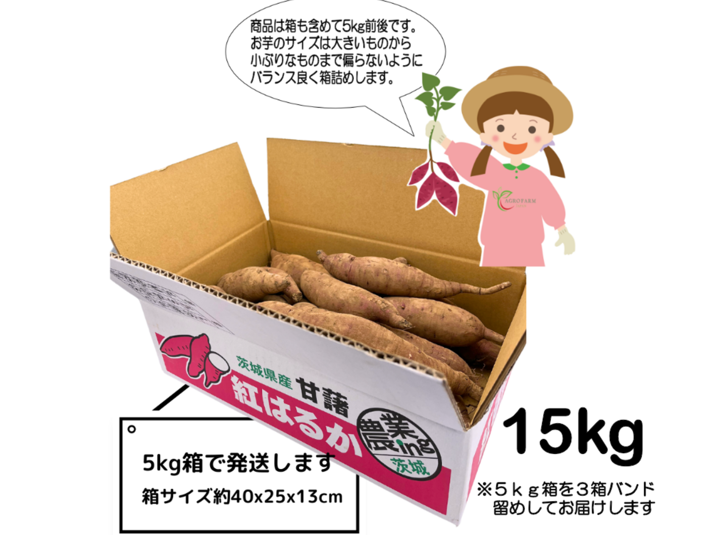 今季ブランド 〇 6ヶ月間熟成しました 完熟芋🍠農薬不 〇【限定特別価格】 乾物