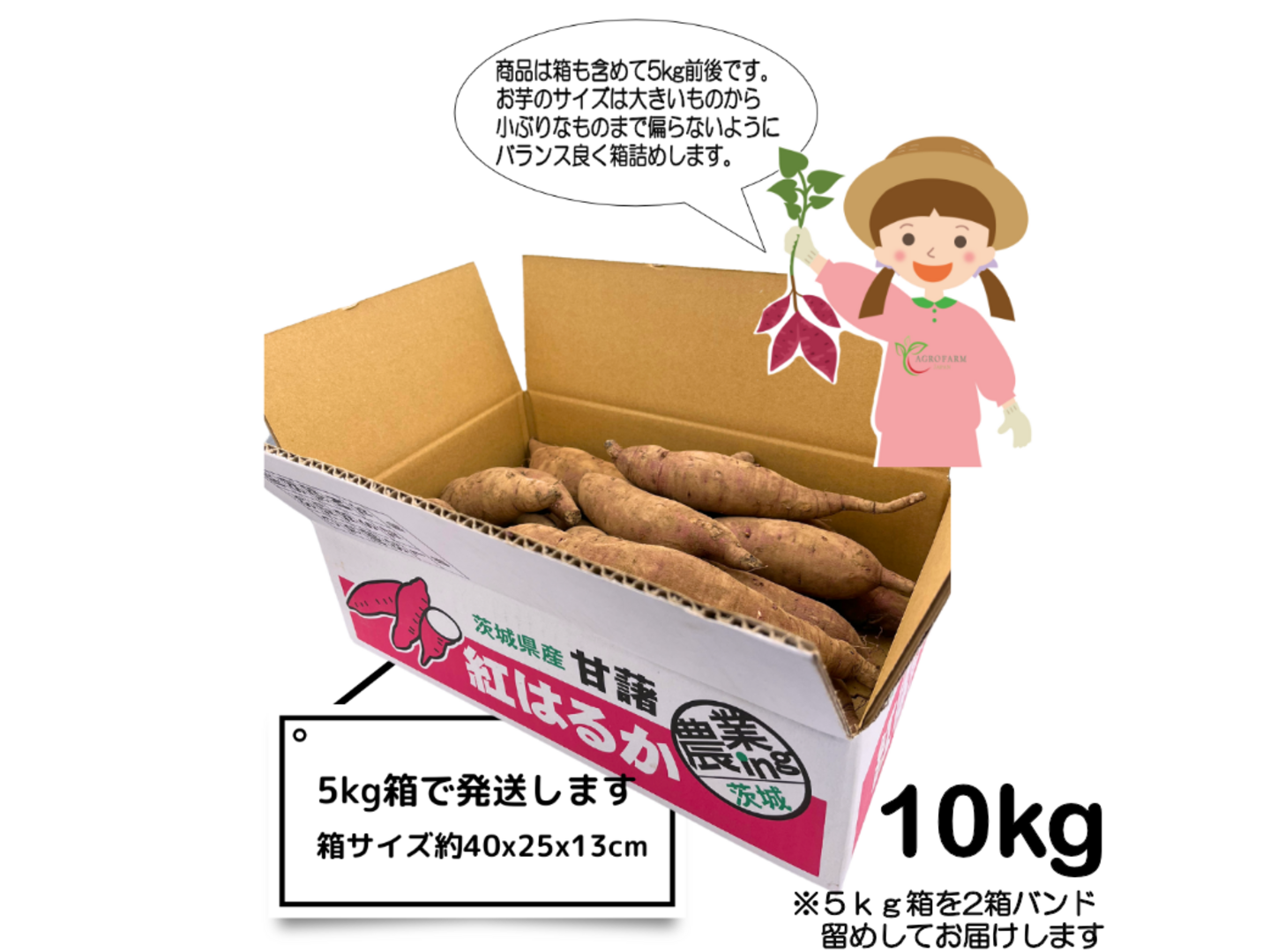ファッションアイテム人気ランキング 〇 90日間熟成しました 熟成芋🍠農薬不使用 〇【限定特別価格】 野菜