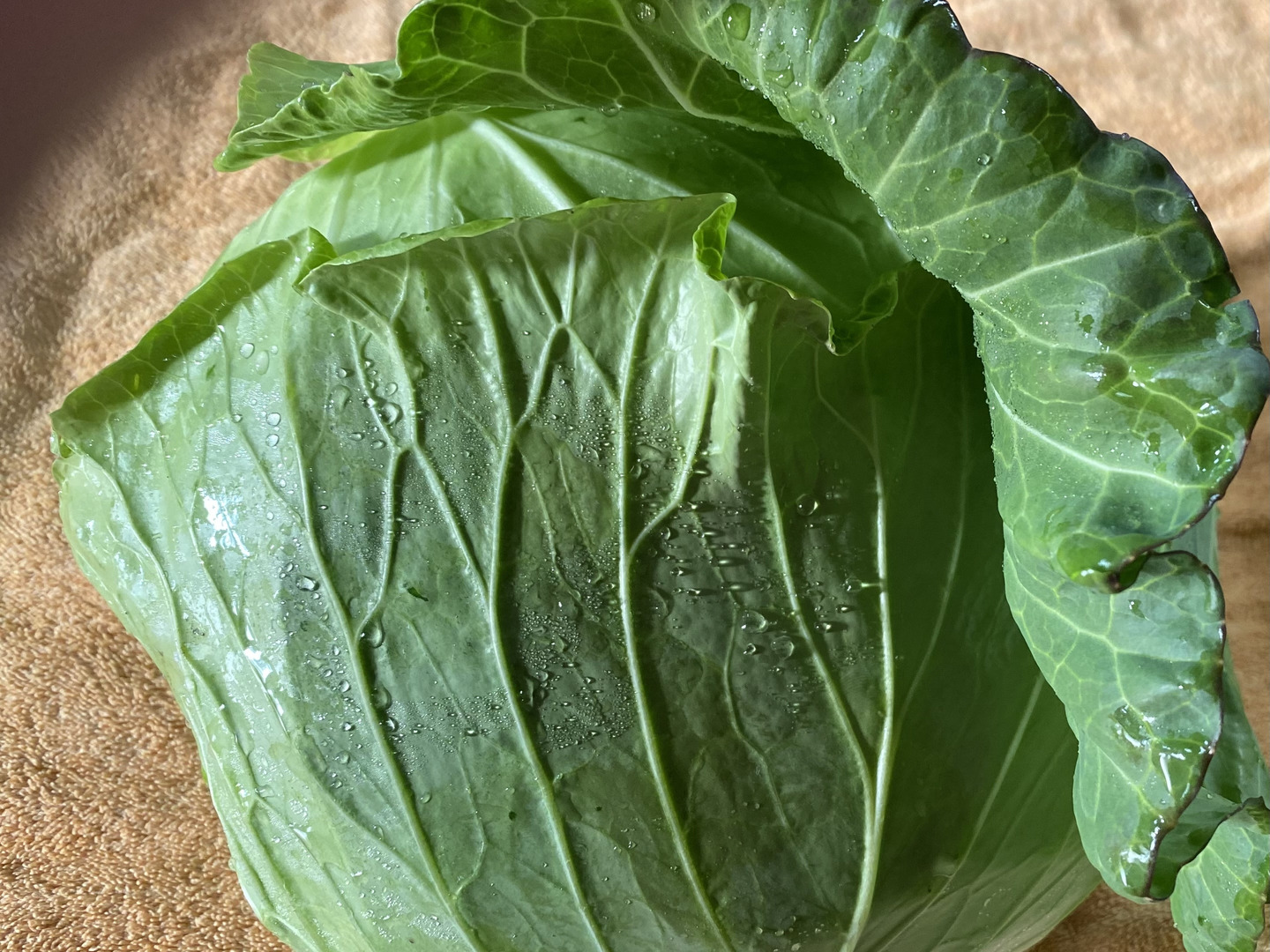 【保障できる】 淡路島より旬をお届け】お待たせキャベツレタスブロッコリー 野菜