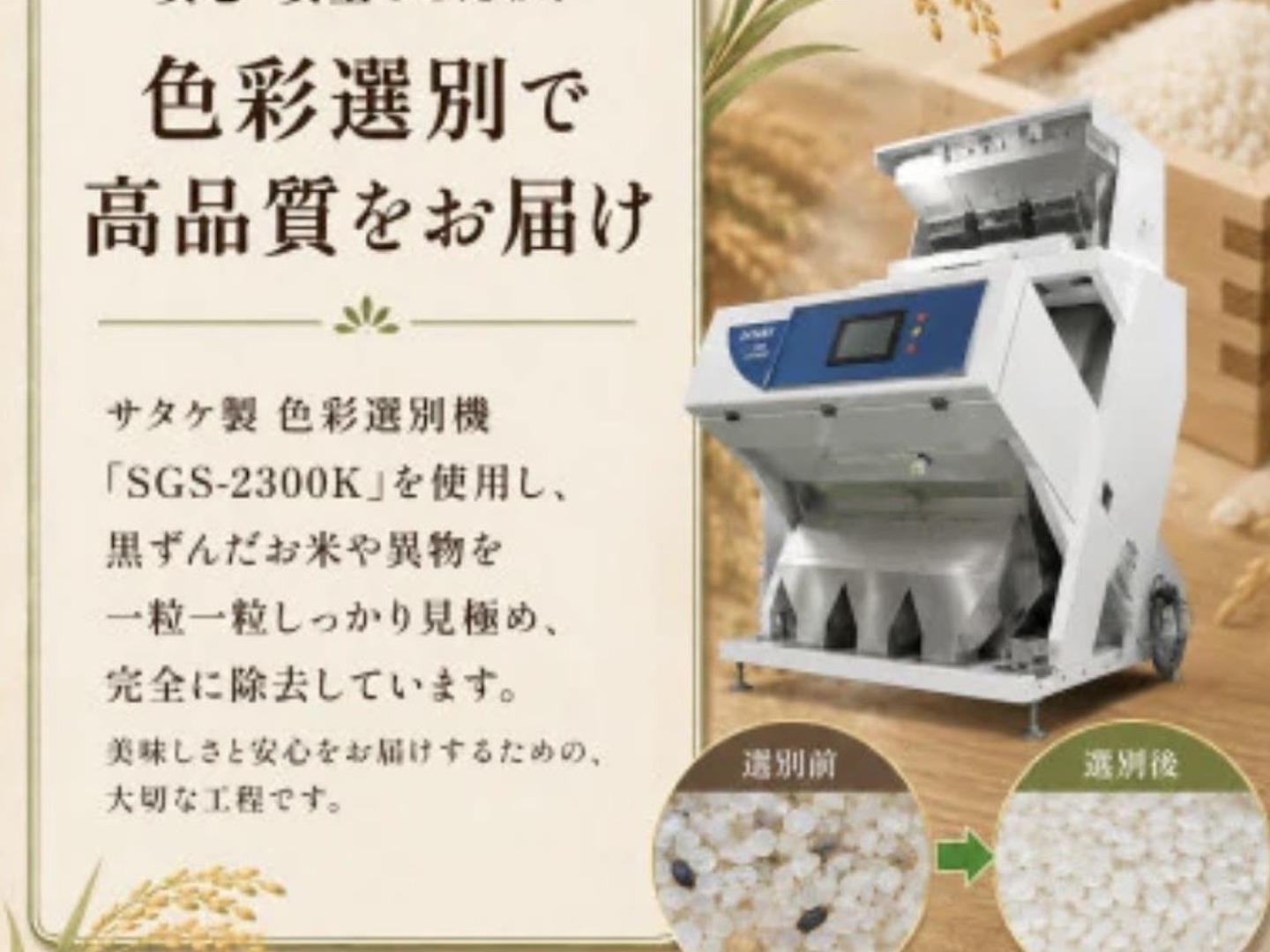 令和8年度新米茨城県産もっちり！コシヒカリ玄米10㎏：茨城県産のお米