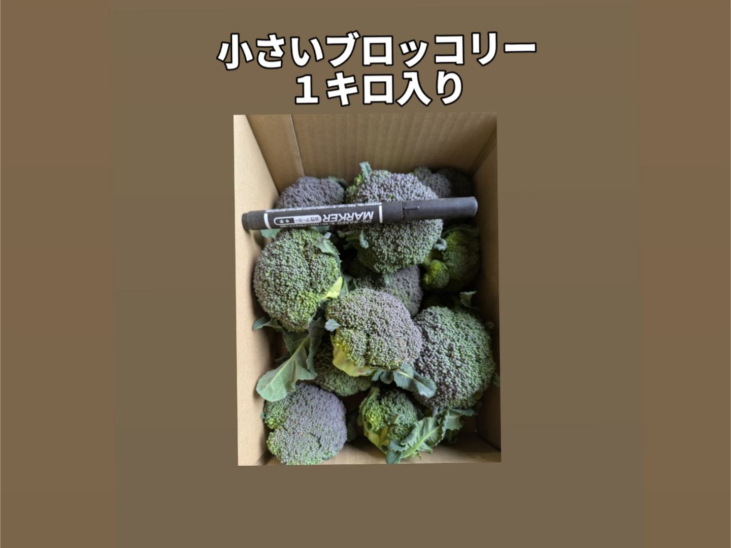 今季一番 1キロ入り小さいブロッコリー：愛知県産の品種おまかせ｜食べ 野菜
