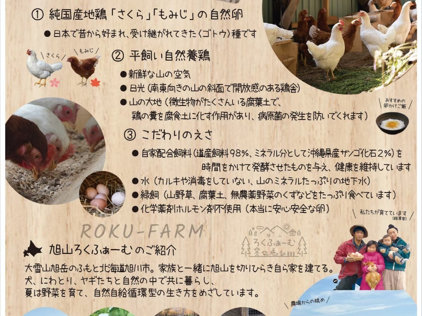 平飼い卵 90個補償6個含む純国産鶏もみじ アローカナ6個 合計　　96個 純国産鶏の平飼い有精卵！木漏れ日農園のもみじ卵6個入り4パック