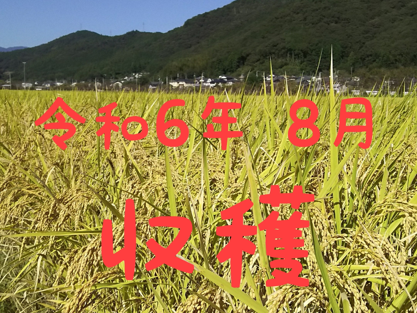 0422eeec8201ef721a6ebe77d35168 0422eeec8201ef721a6ebe77d35168
