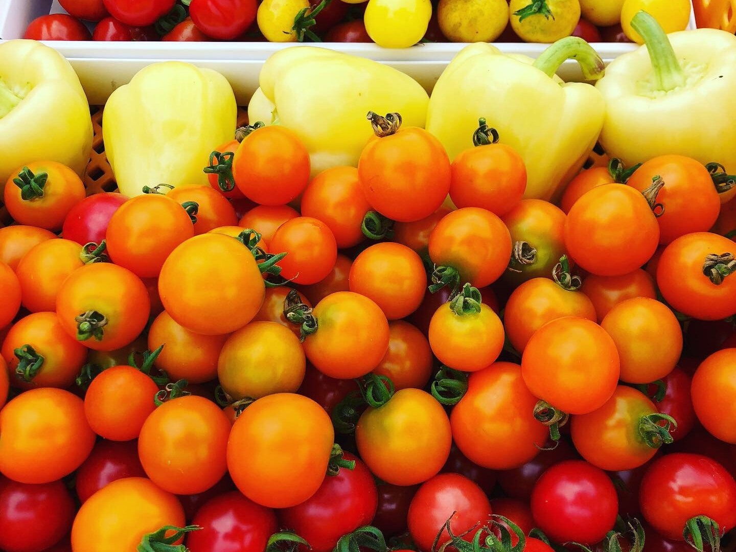 原画　夏野菜3枚セット 原画 夏野菜3枚セット