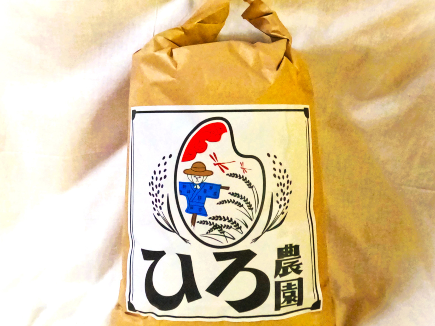 令和6年産】『キヌヒカリ』 白米10kg：大阪府産のお米｜食べ