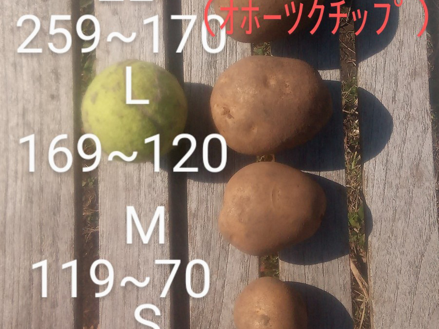 独特の素材 513ad9a52a687e9d05001caf6a4d2e 野菜