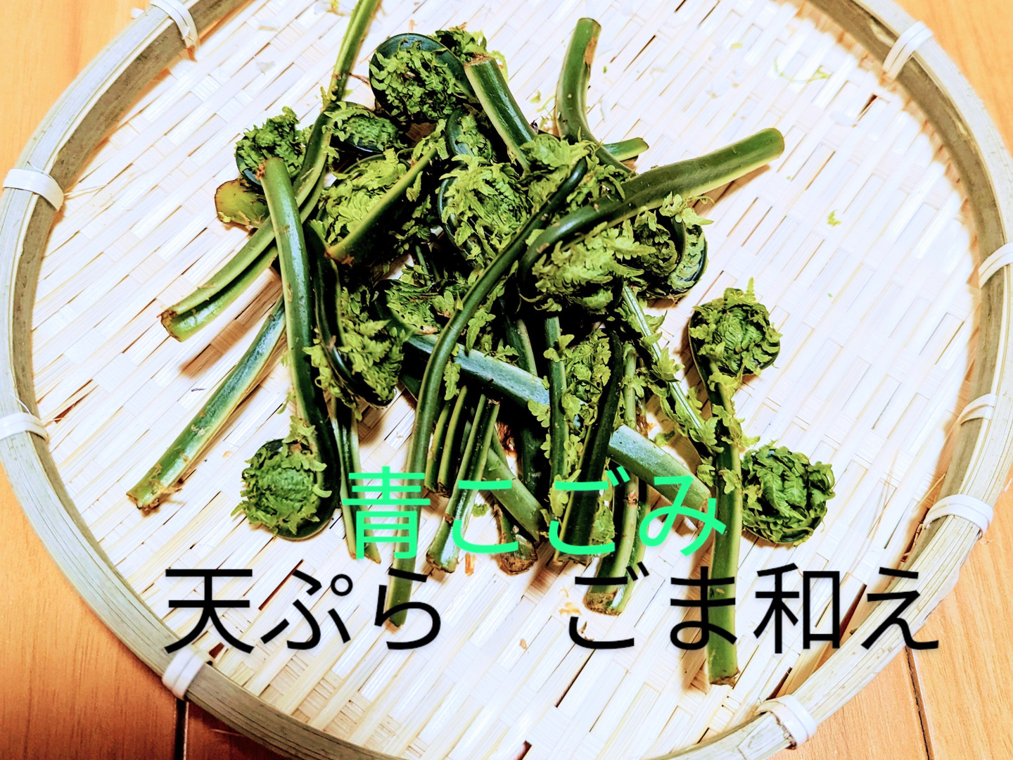 天然山菜】月山筍セット【朝採り】：山形県産の野菜セット｜食べ
