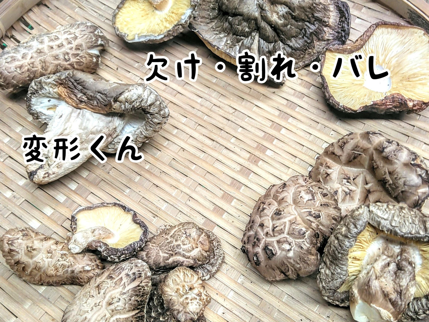 個性派揃い♪原木干し椎茸徳用袋 3袋入：栃木県産のドライフード