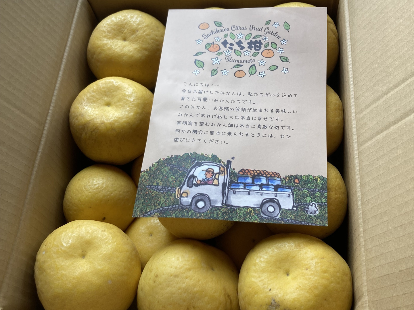 さわやかジューシー 河内晩柑 8㌔ サイズ混合 ご家庭用：熊本県産の