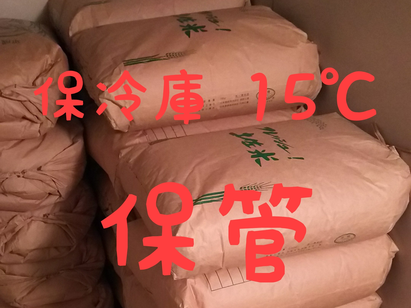 上品なスタイル 令和6年産 10㎏(袋込み)：高知 米ぬか コシヒカリ 新米 高知県産 米・雑穀・粉類