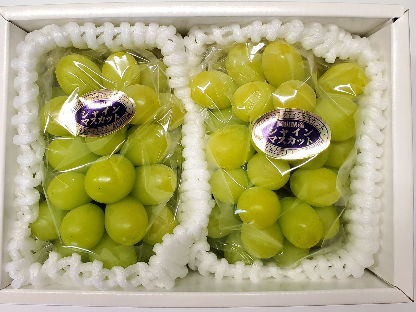世界的に有名な いちご さがほのか約1.5kg 脱粒シャイン 富士の