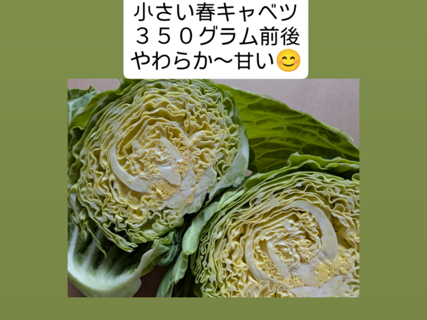 大人気新品  冬の小さい野菜の詰め合わせ：愛知県産の野菜セット｜食べチョク 野菜