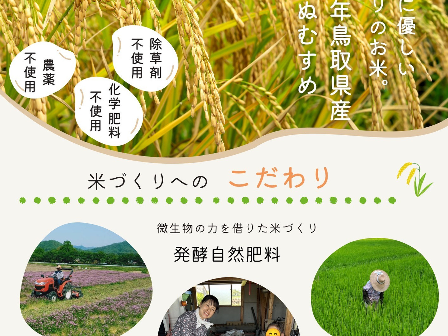予約受付中【令和7年新米】農薬・化学肥料不使用 冷めても