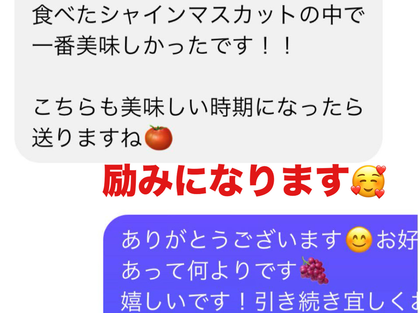 お試し価格限定5箱シャインマスカット1kg 2から3房愛媛西条市