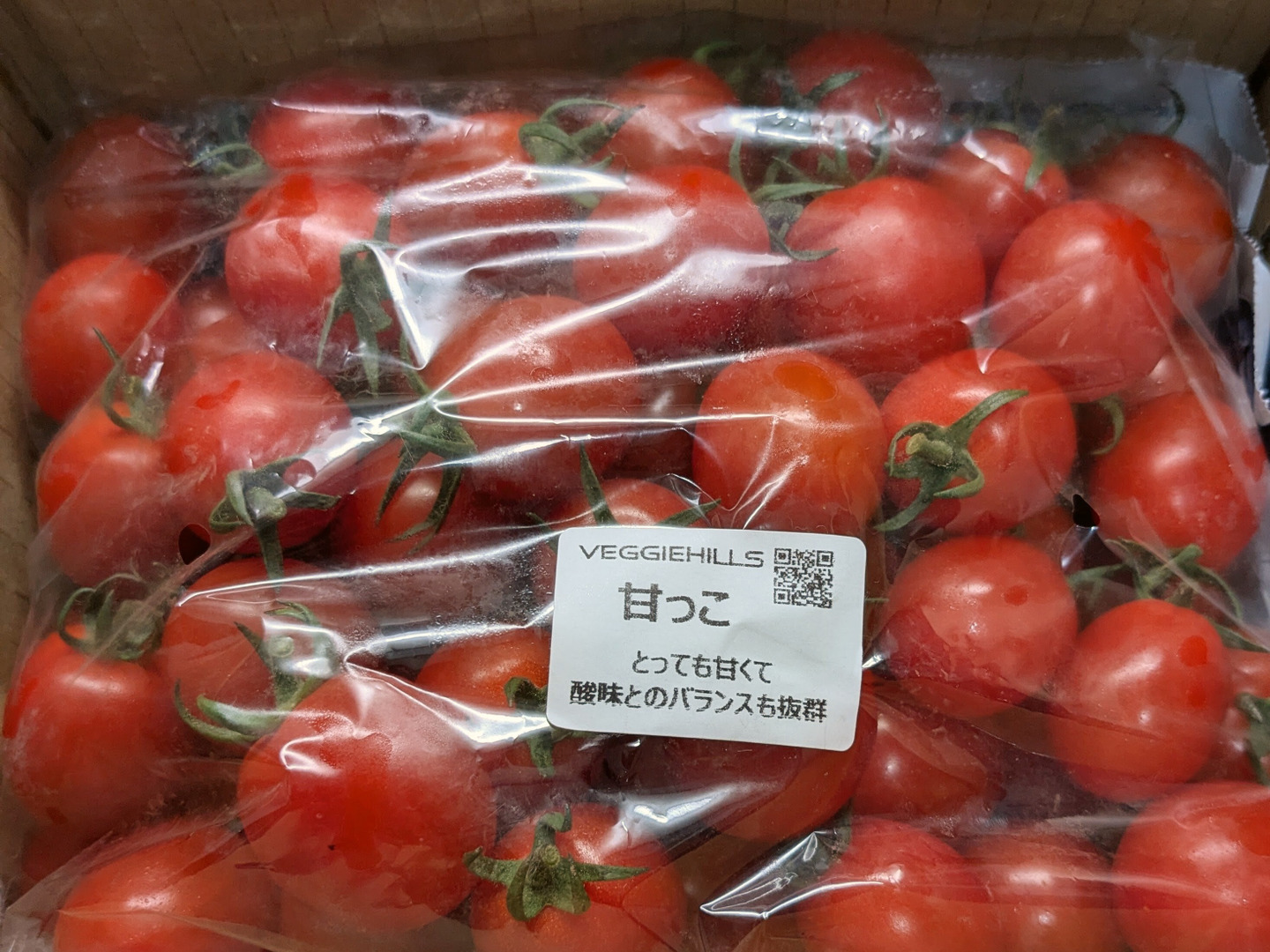 ☆北海道の甘っこ☆高糖度酸味旨味も揃った化学農薬不使用ミニトマト