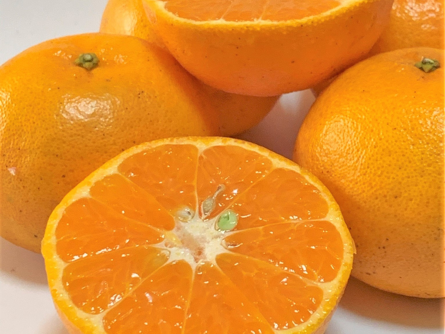 福袋 売れ残り 今年は園主太鼓判の美味しさ】いまが旬！芳香高い「日南ポンカン 果物
