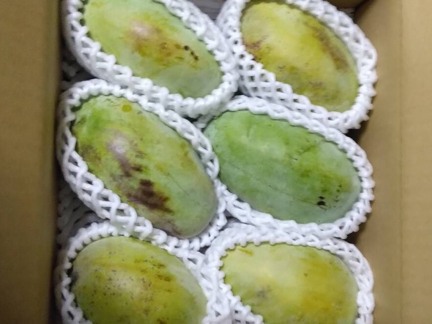 幻のフルーツ】ポポー 1箱1.5kg(4個から7個入り)：長野県産の