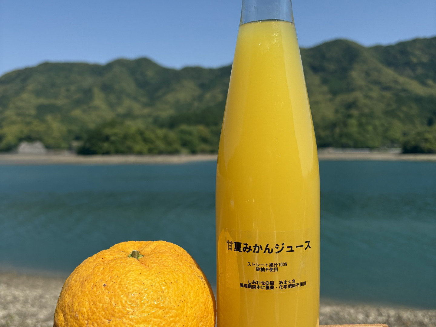 日本の柑橘】生搾り果汁100%ストレートジュース（熊本特産 甘夏みかん