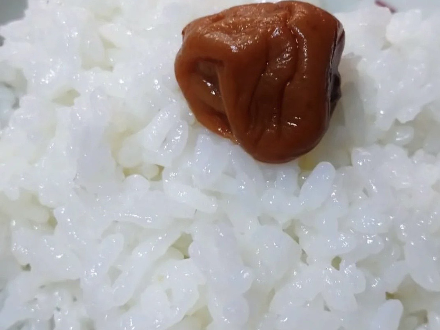 令和5年産 コシヒカリ自家消費用玄米10kg一等米特別に販売します