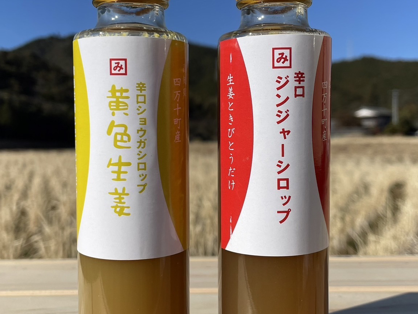 送料無料✨辛口　ジンジャーエールシロップ　ジンジャーシロップ　高知県黄金生姜 楽天市場】ジンジャーエール 高知の通販
