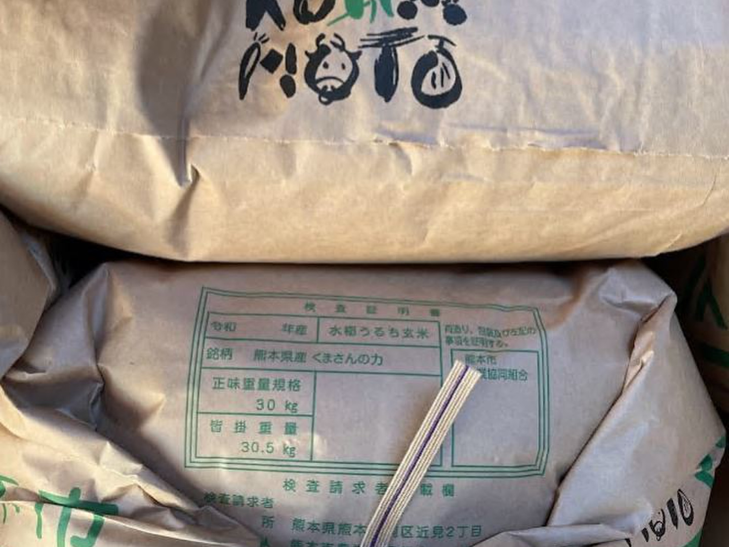 熊本県限定品種】熊本の美味しい水で育てた白く輝く『くまさんの