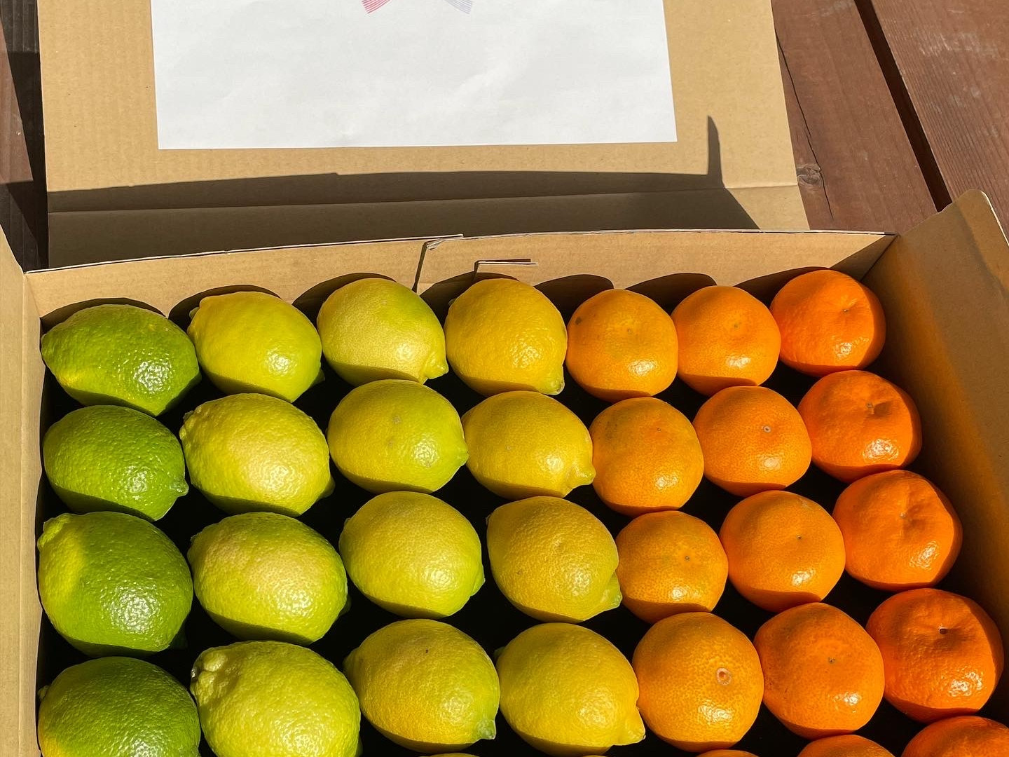 レモン　越冬みかん3kg×２箱ぐるりん 048-lemon2kg01.jpg