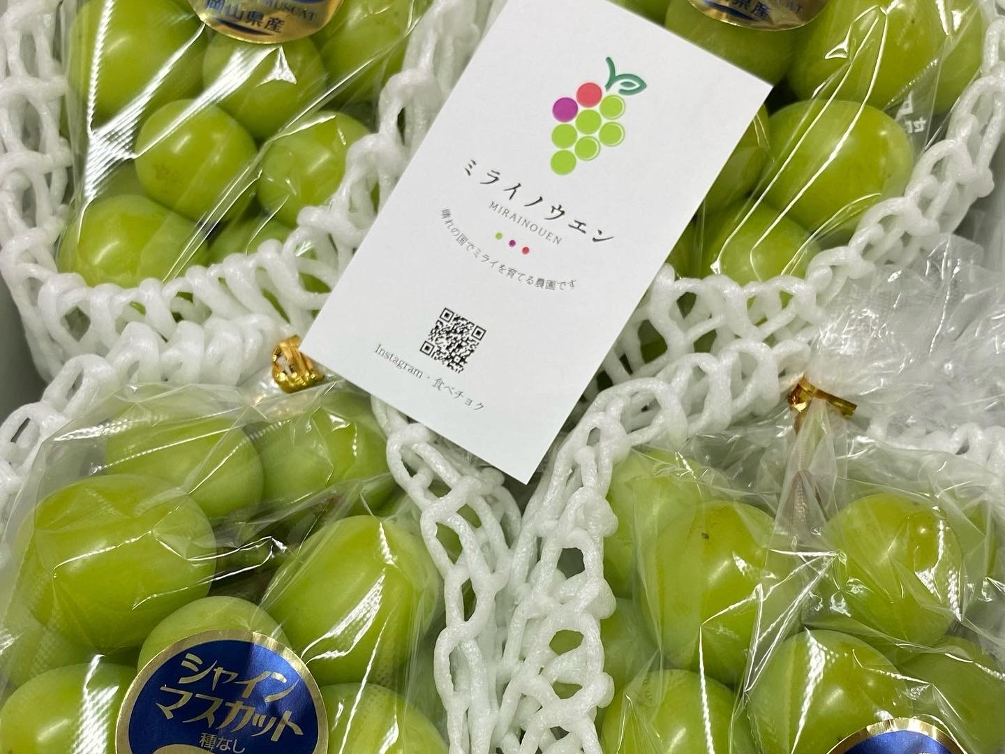 ⭐︎農家直送⭐︎【お得！】岡山県産シャインマスカットご家庭用