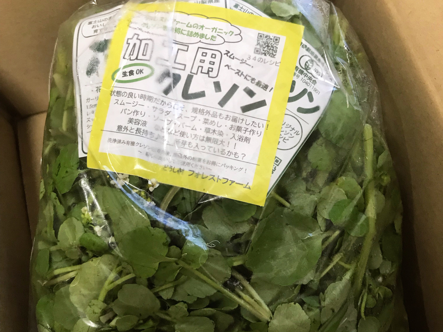 ⚠️栽培用クレソン 20キロ目安 みかん箱5箱分 湧き水育ち 訳