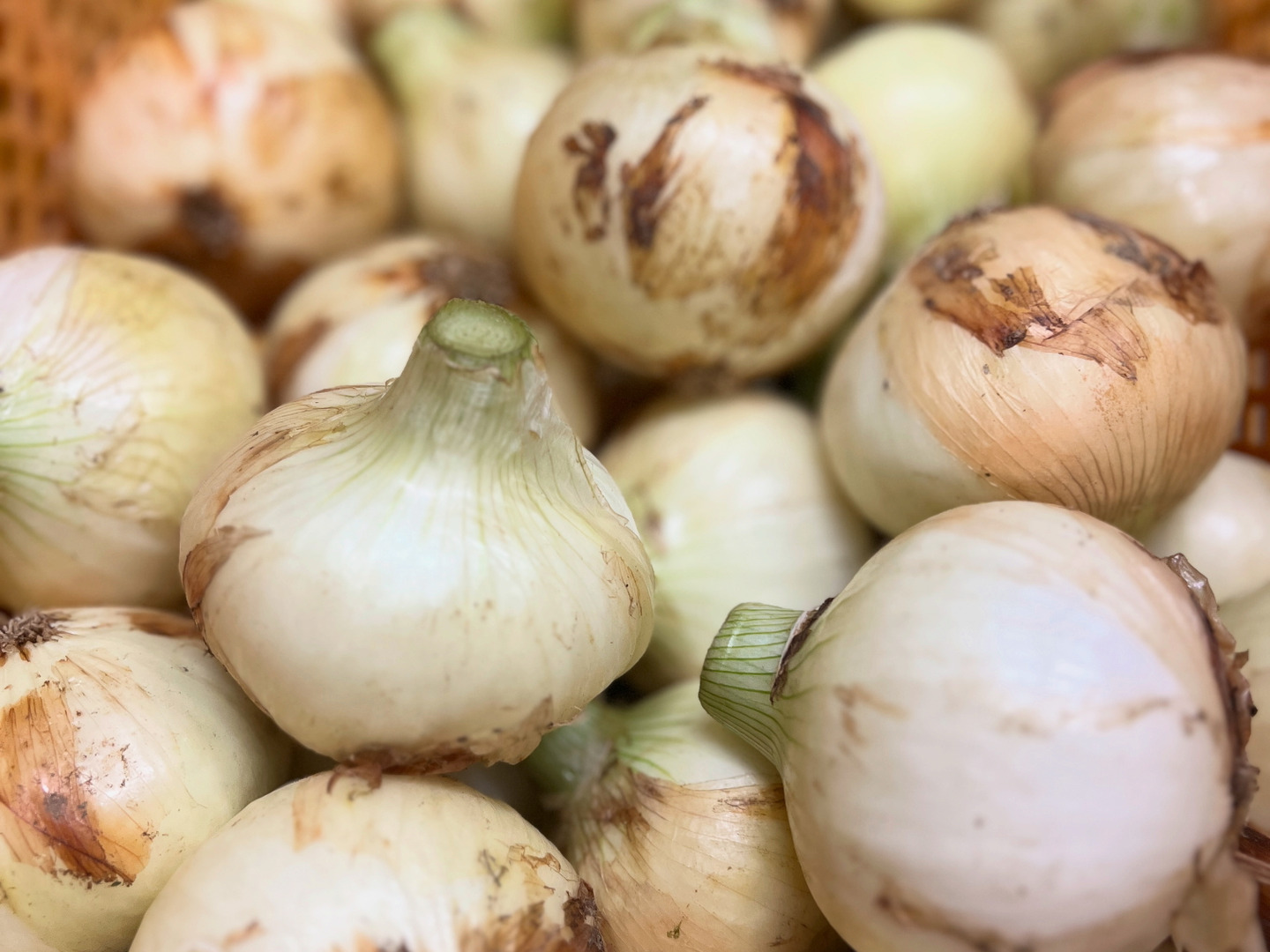 全信頼を寄せる 淡路島に負けない!!】新たまねぎ10kg【過熱で超甘ぁ〜い 野菜