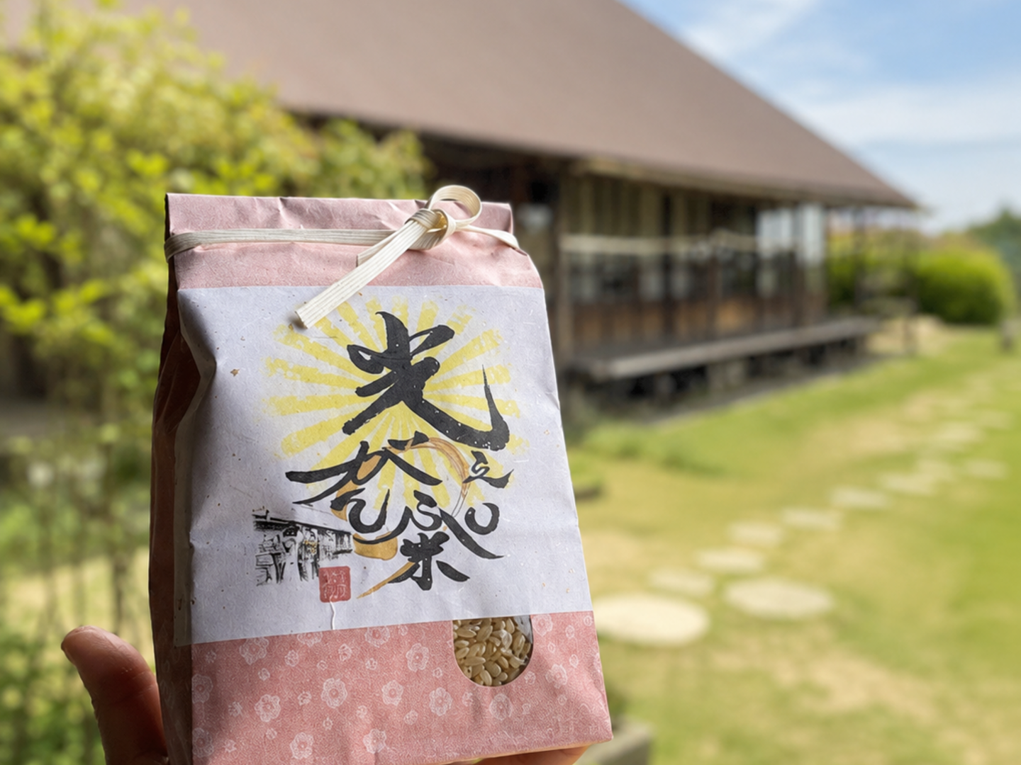 もっちり甘い！自然栽培「光之がんぷ米」コシヒカリ（精白米・10kg