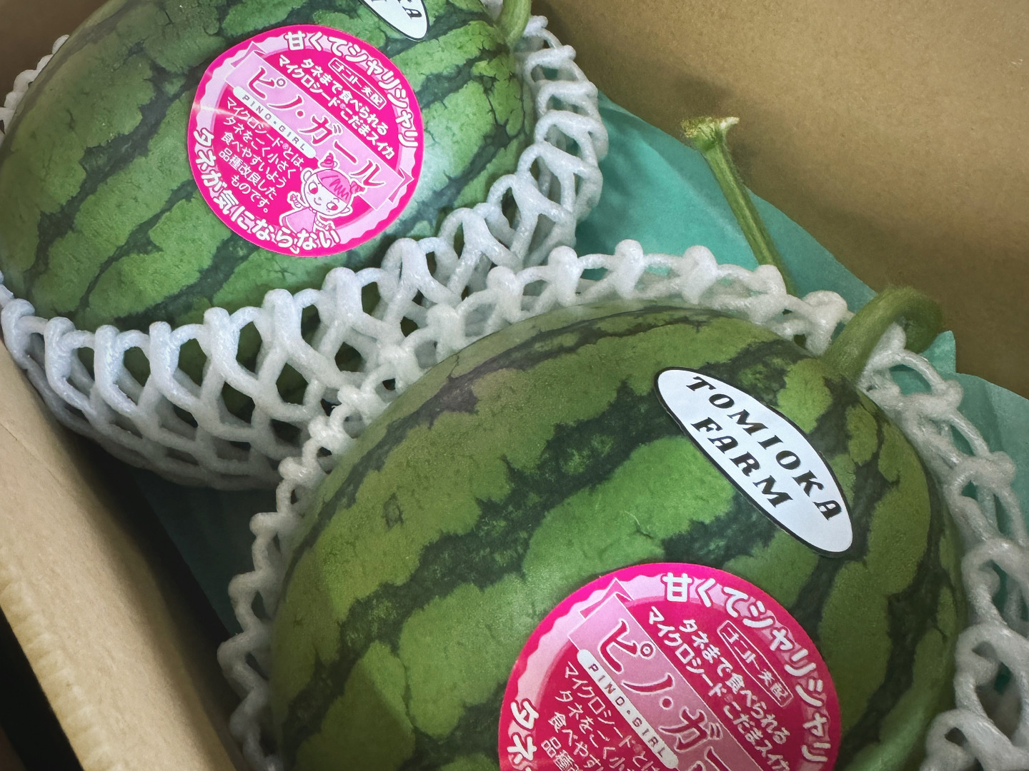 極み小種】小玉スイカ🍉ピノガール2玉セット：熊本県産のその他
