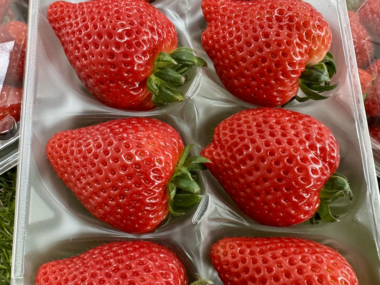 福袋 プレミアムいちご 『あまりん』大粒 280g×2p：埼玉県産 8粒~9粒 Fruit
