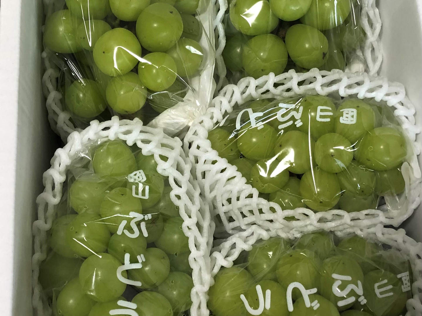 会員様限定 お買い得商品 シ②□訳あり□【穴あきシャインマスカット】2kg化粧箱：岡山県 フルーツ