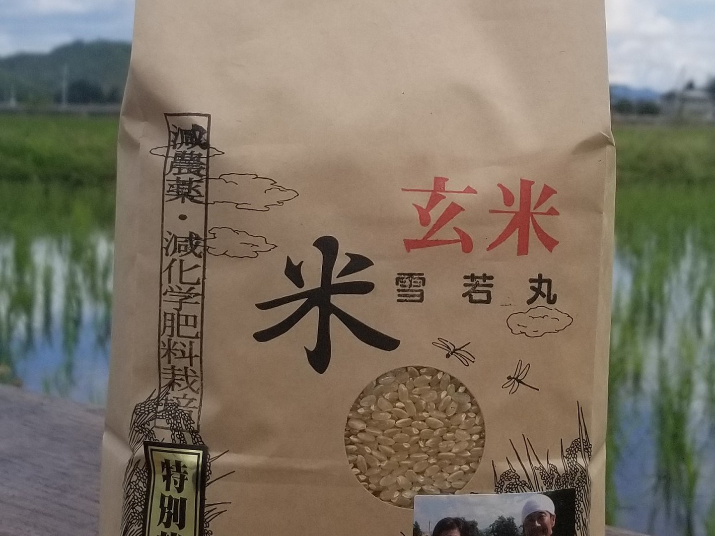 令和6年産　モチくず米20㎏　玄米　農家直送 令和6年産 モチくず米20㎏ 玄米 農家直送 令和6年産 モチ