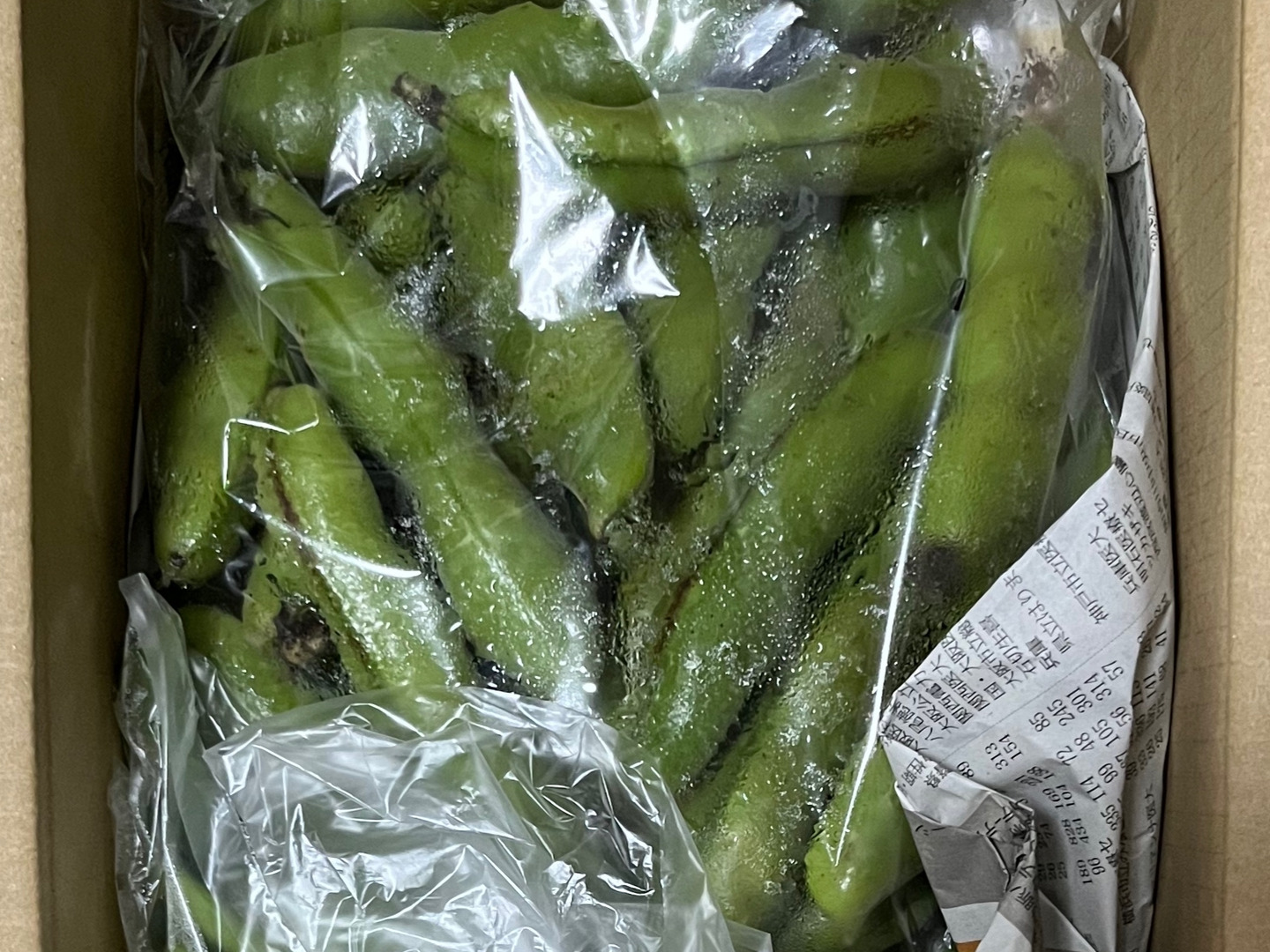 空豆 無施肥、化学的防除無し、自家採種 1㎏ 送料500円OFF
