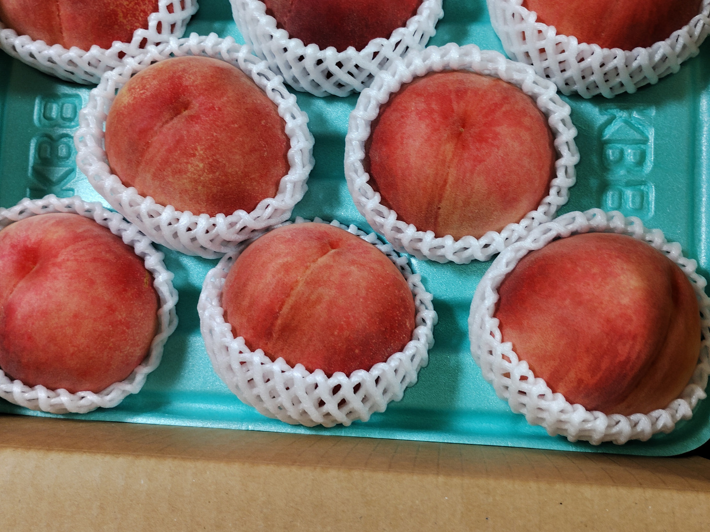 2027年予約『なつっこ』🍑高糖度で硬めの桃✨朝採りその日に発送します