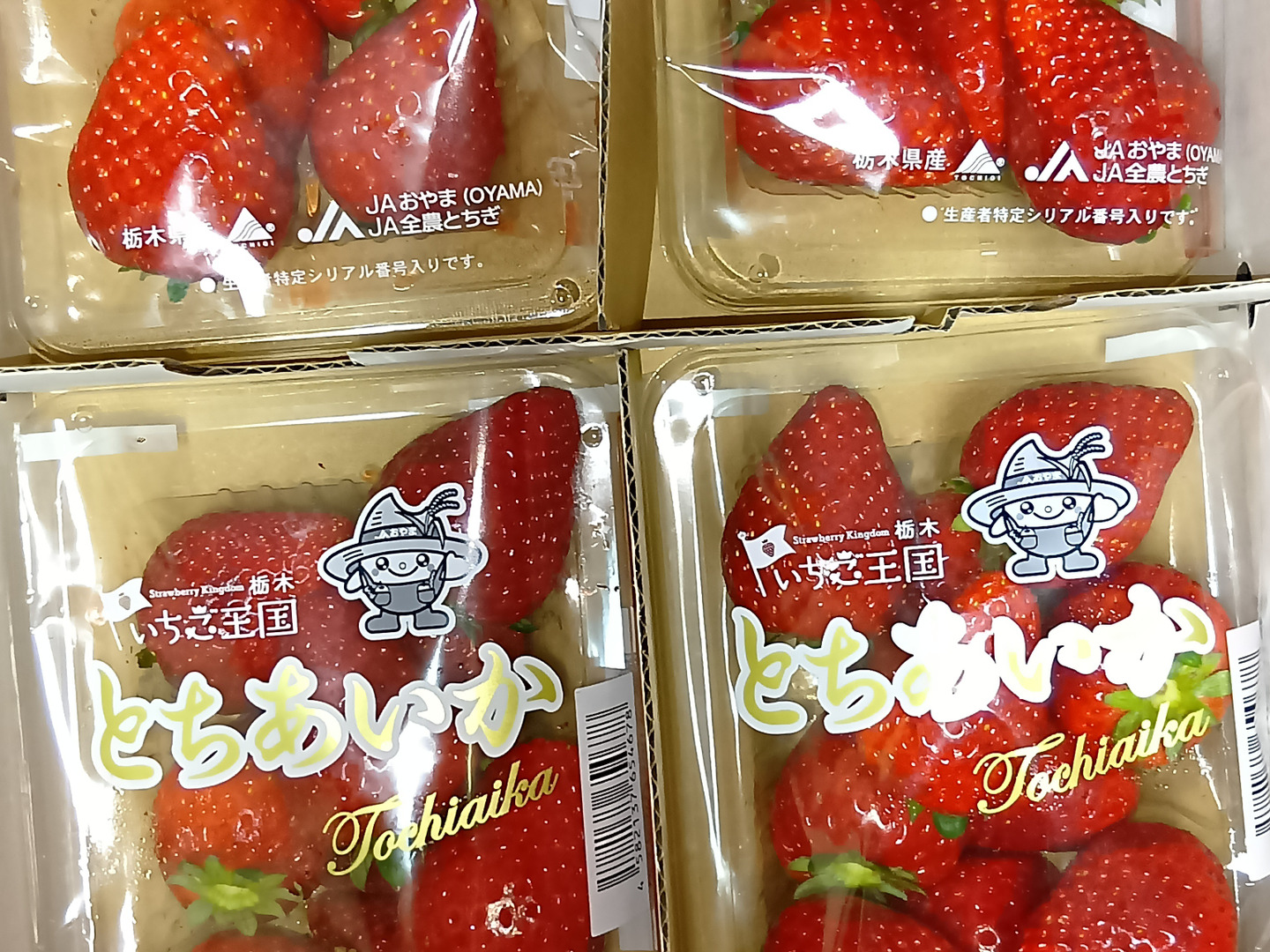 行列のできるレビュー商品、集めました。高評価アイテム ⚠️説明必読⚠️『加工用とちあいか』フレーズのこだわりいちご 果物