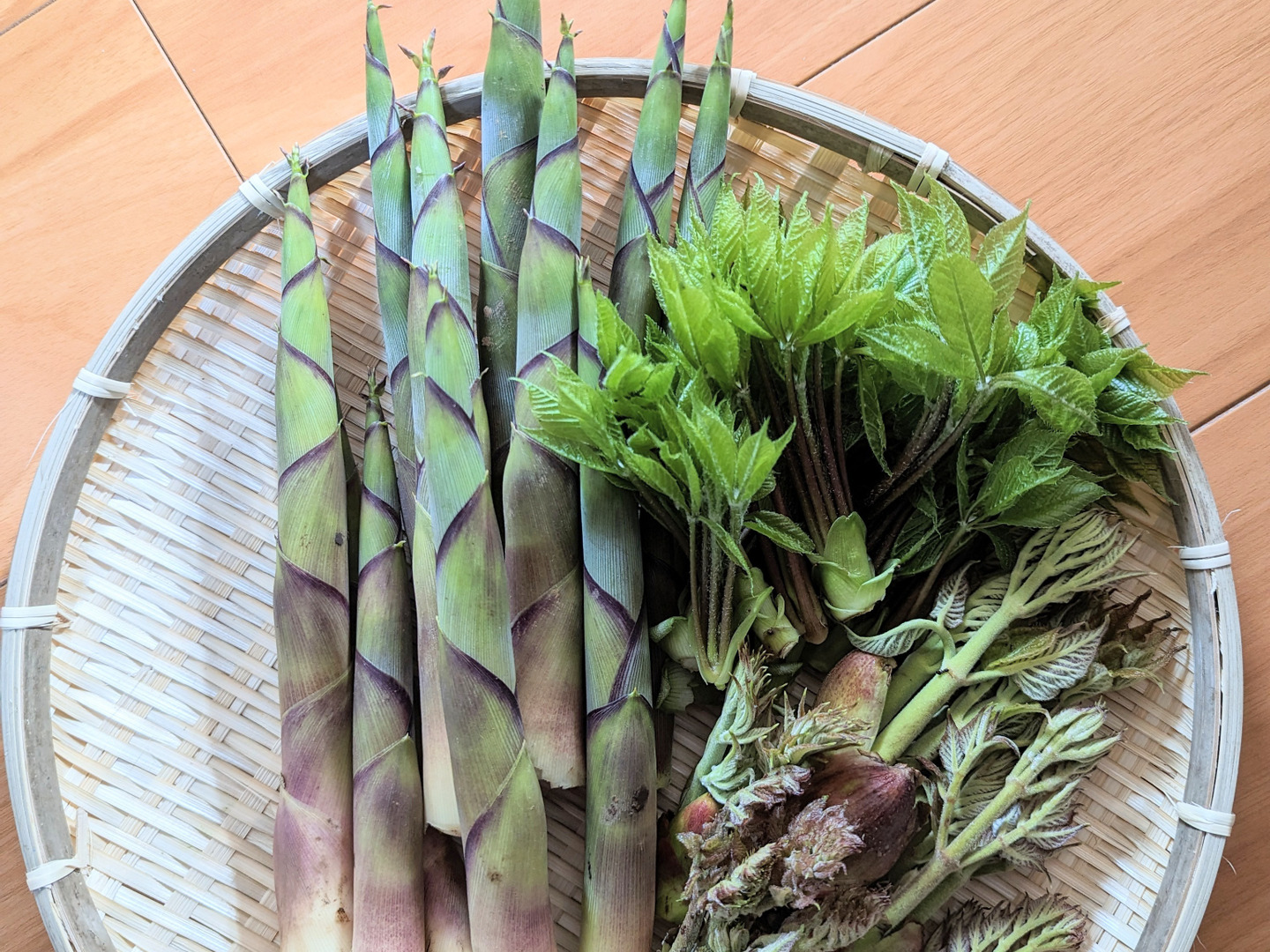 天然山菜】月山筍セット【朝採り】：山形県産の野菜セット｜食べ