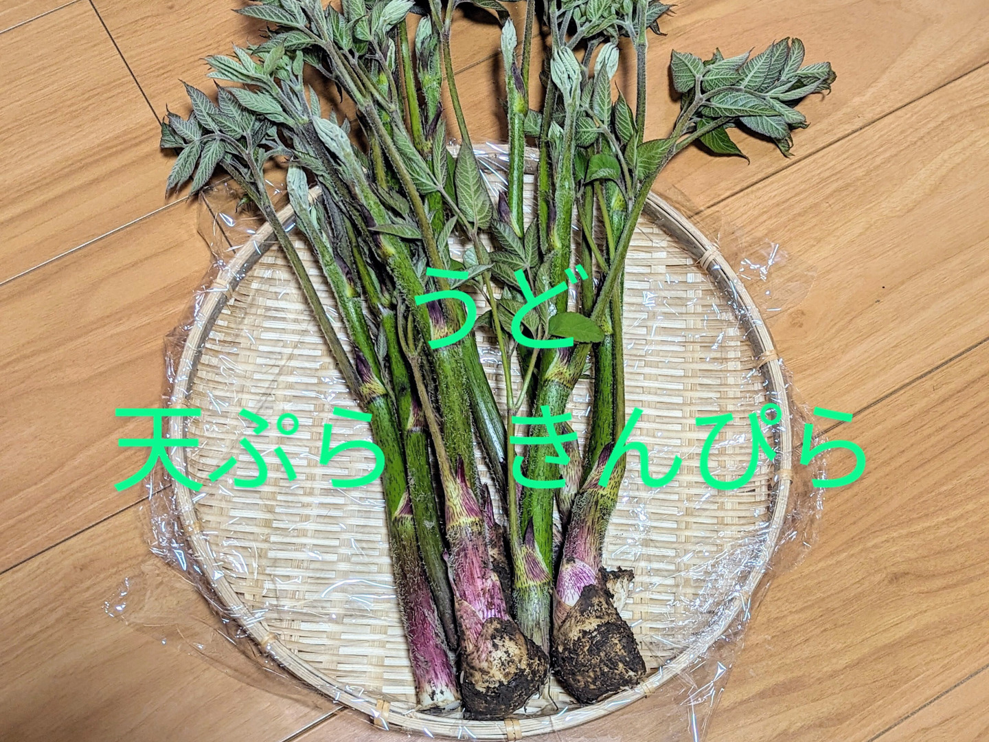 天然山菜】月山筍セット【朝採り】：山形県産の野菜セット｜食べ