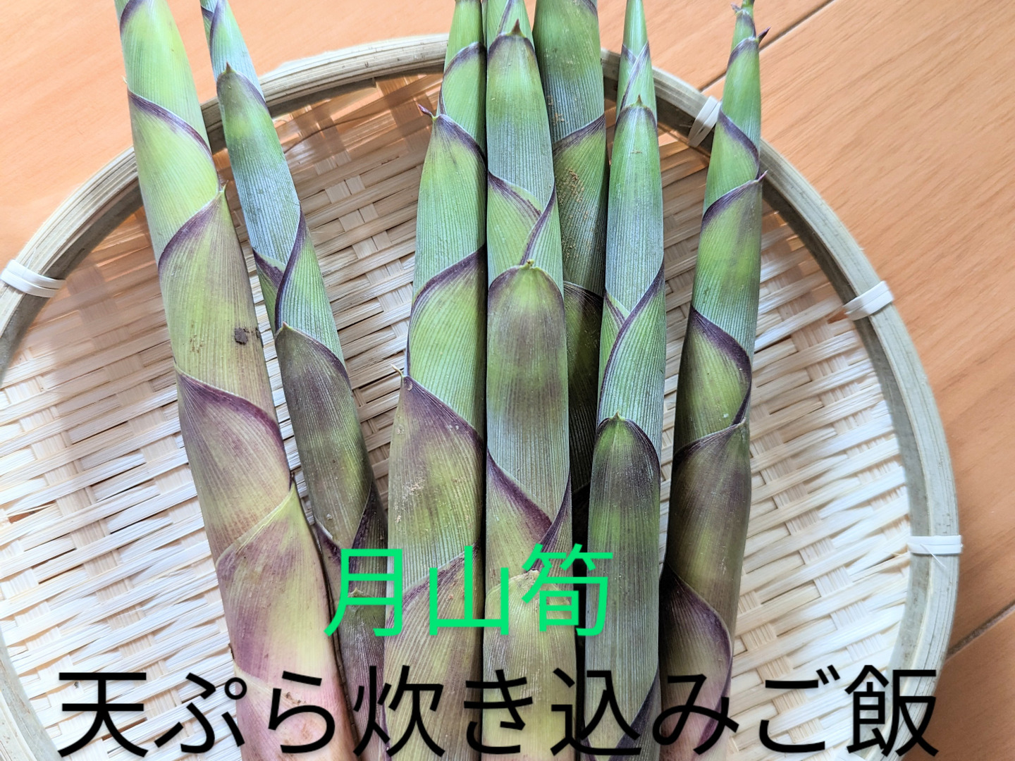 天然山菜】月山筍セット【朝採り】：山形県産の野菜セット｜食べ