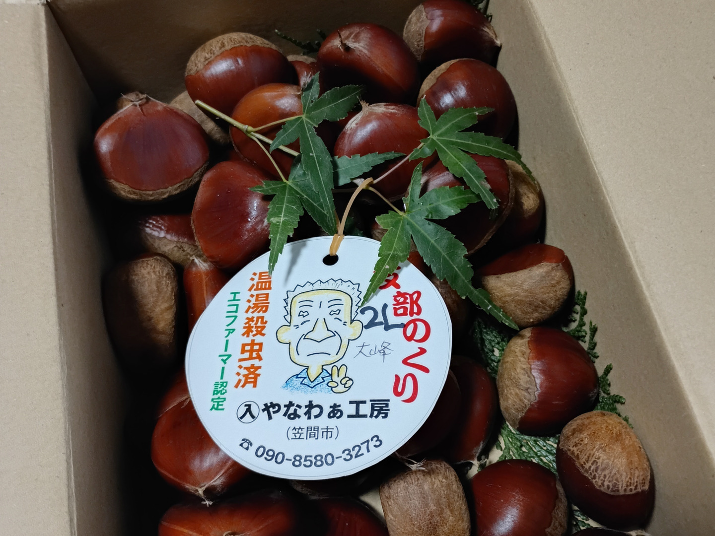 笠間の栗2Lサイズ×1kg（温湯殺虫済み）：茨城県産のその他栗