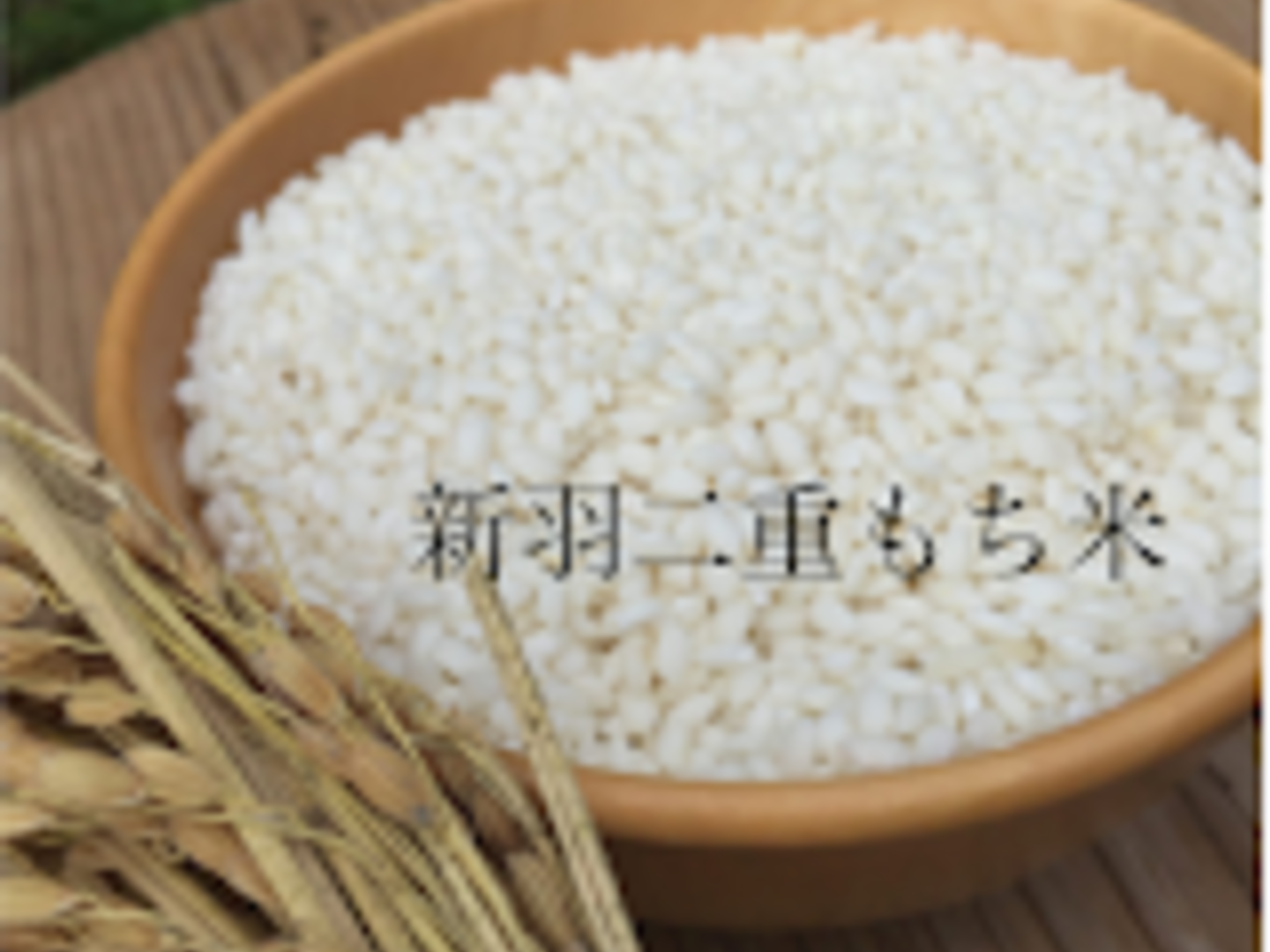 376aa0bf47219ec1c7411a0f7597df