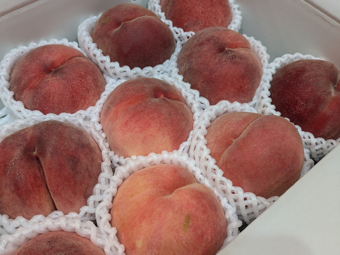 桃名人厳選 桃【ご家庭用 訳あり商品】白桃約3kg(8-12玉