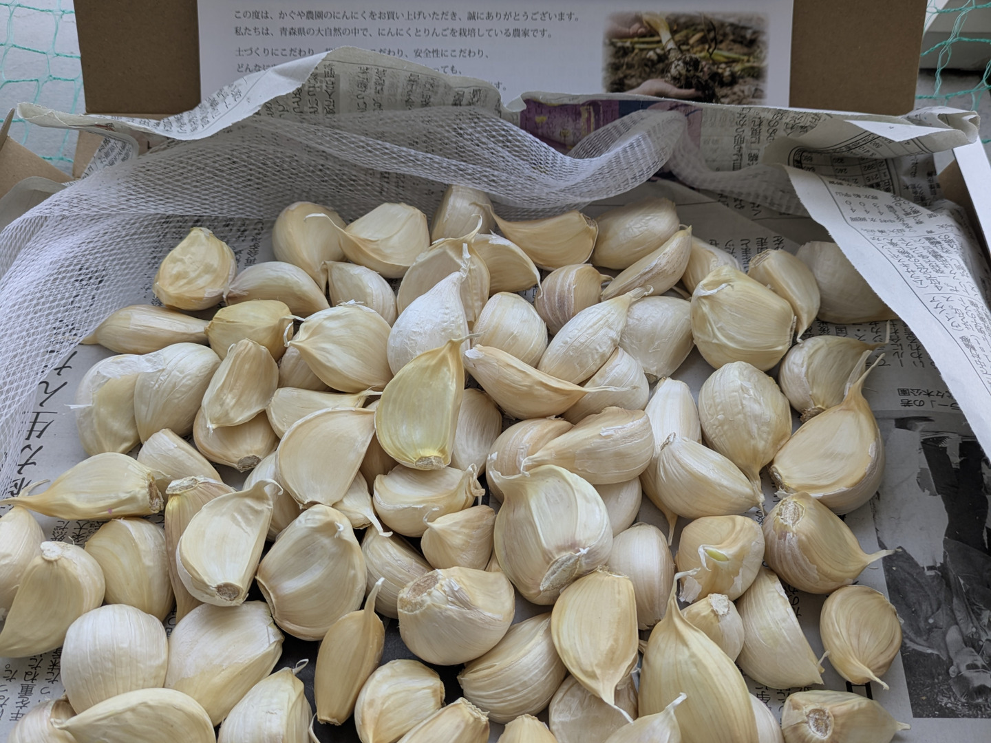 新物 青森県にんにく6キロ L 早い者勝ち