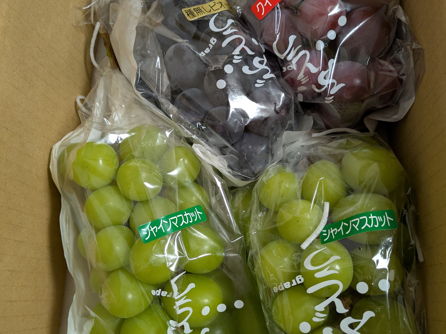 勝沼産直送シャインマスカット3kg正規品 高野園｜シャインマスカット 3kg 産地直送【送料込み