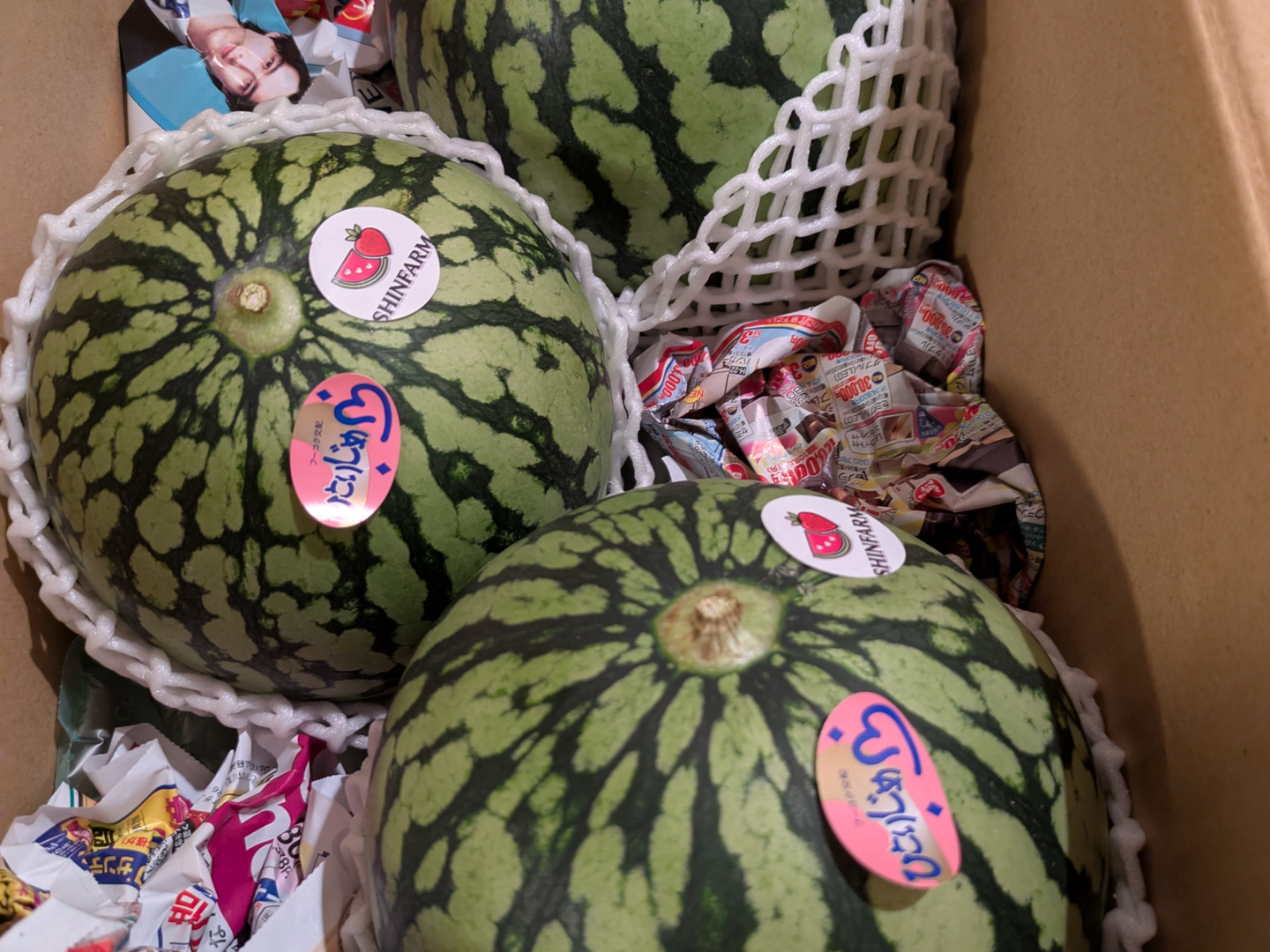 お手ごろサイズ♪名産地熊本県よりお届け‼︎小玉スイカ3玉入り(1.35kg