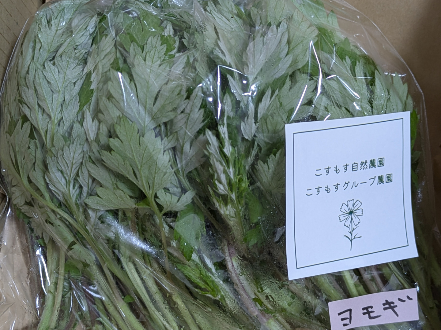 専用　よもぎ苗　500株 植え付け用 天然 自生 よもぎ 苗 根付き 30本（天然自生＊新鮮
